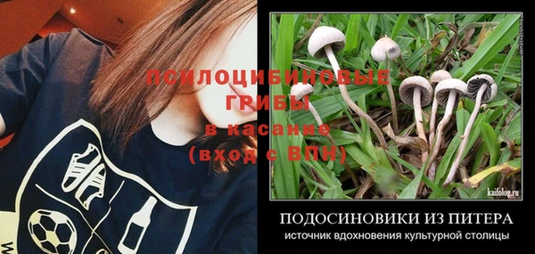 мяу мяу мука Ладушкин