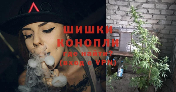 хмурый Лагань