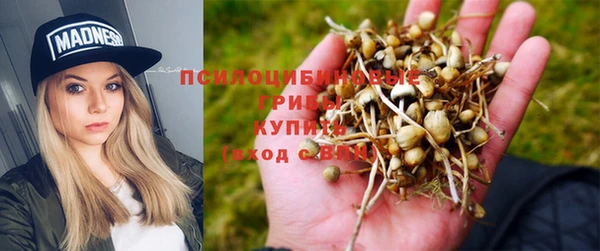 мяу мяу мука Ладушкин
