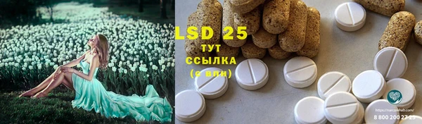 хмурый Лагань