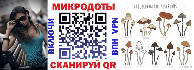 Купить закладки  Тарко-Сале  Галлюциногенные грибы прущие грибы 
